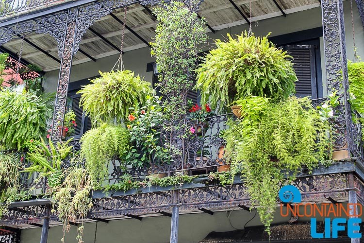 Hanging Gardens French Quarter New Orleans