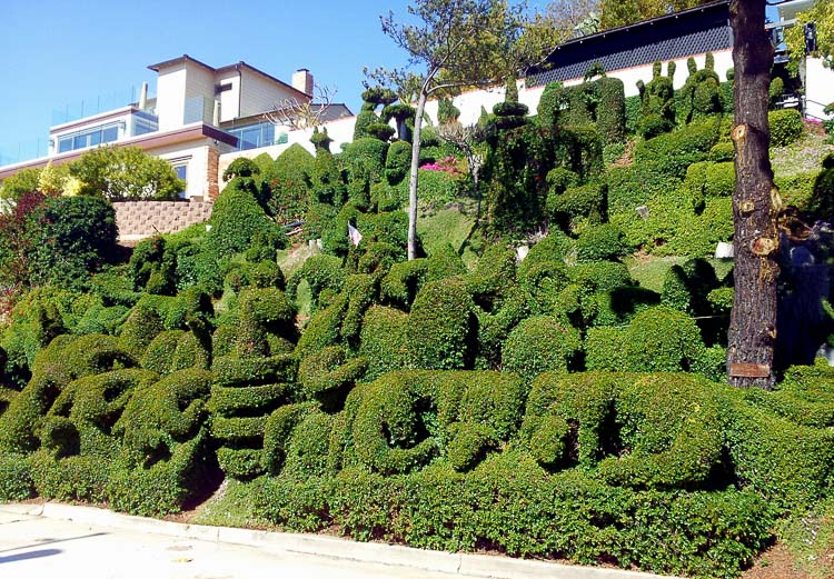 Topiary Bushes San Diego CA Cowboy