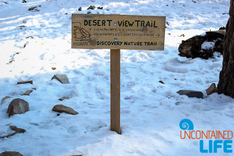 Desert View Trail Snow