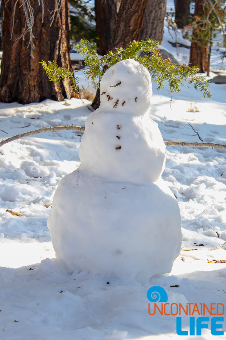 Desert Snowman