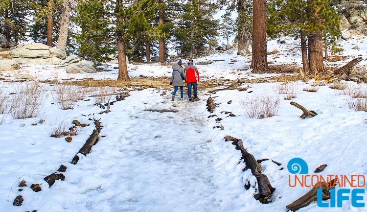 Snow Walk Couple