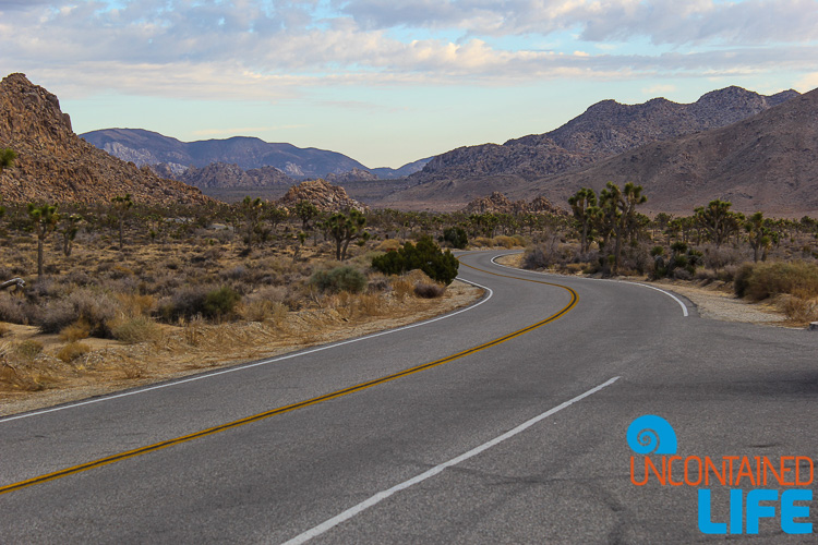 Desert Road California Joshua Tree