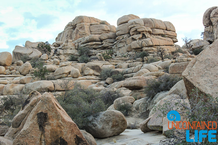 Barker Dam Joshua Tree Rocks