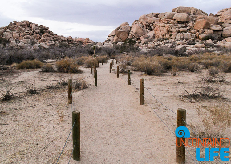 Barker Dam Trail Joshua Tree California