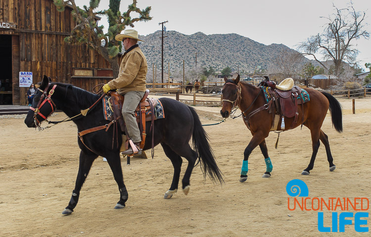 Horses and Cowboy Pioneertown