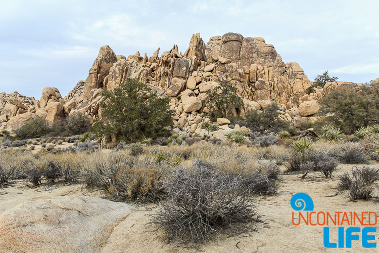 Hidden Valley Joshua Tree