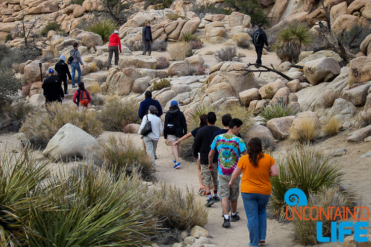 Hiking Hidden Valley Joshua Tree