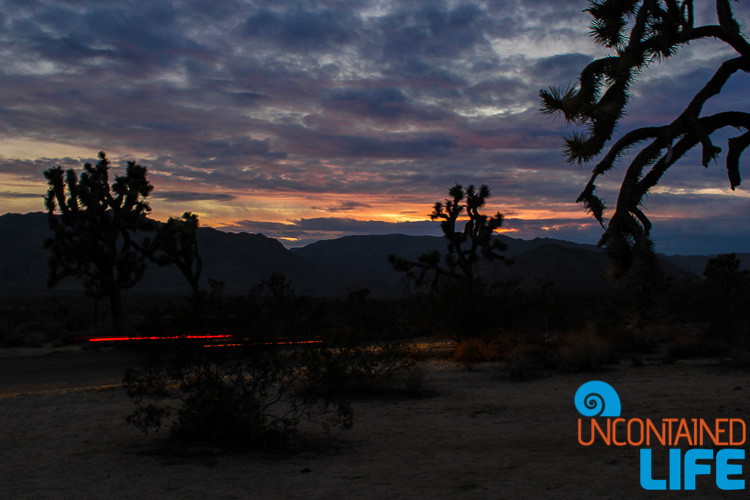 Car Streak Joshua Tree Sunset