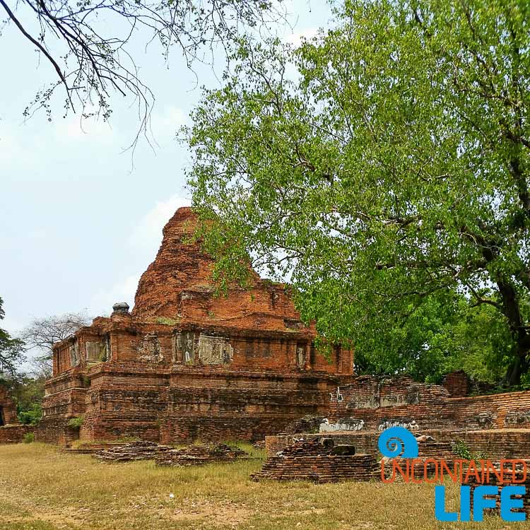 Ayutthaya Temple Ruins