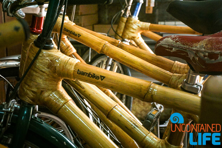 bamboo bike price