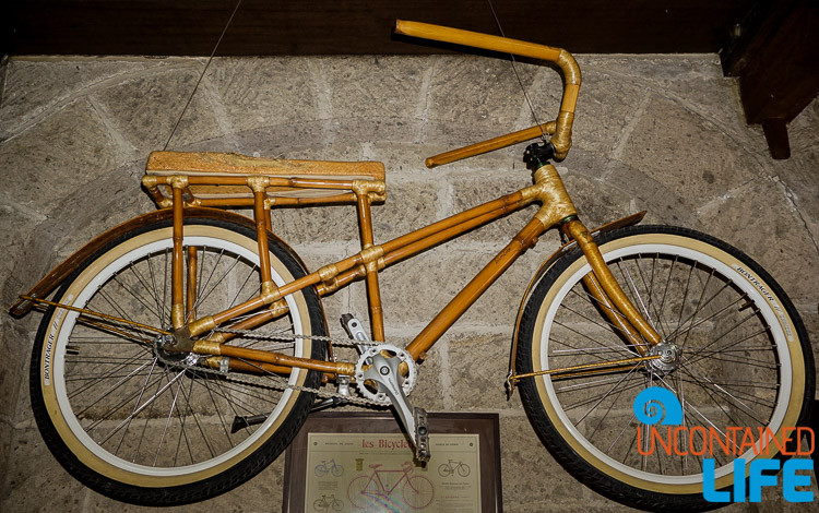 bambusa bike