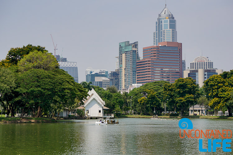 Hunting Dinosaurs In Lumpini Park Uncontained Life