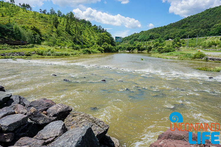 River, Off the Beaten Path in South Korea, Uncontained Life