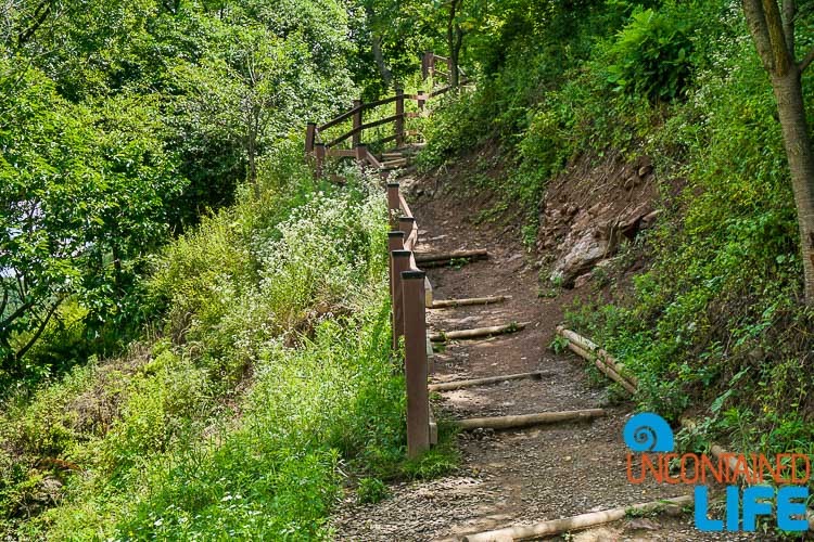 Trail, Off the Beaten Path in South Korea, Uncontained Life