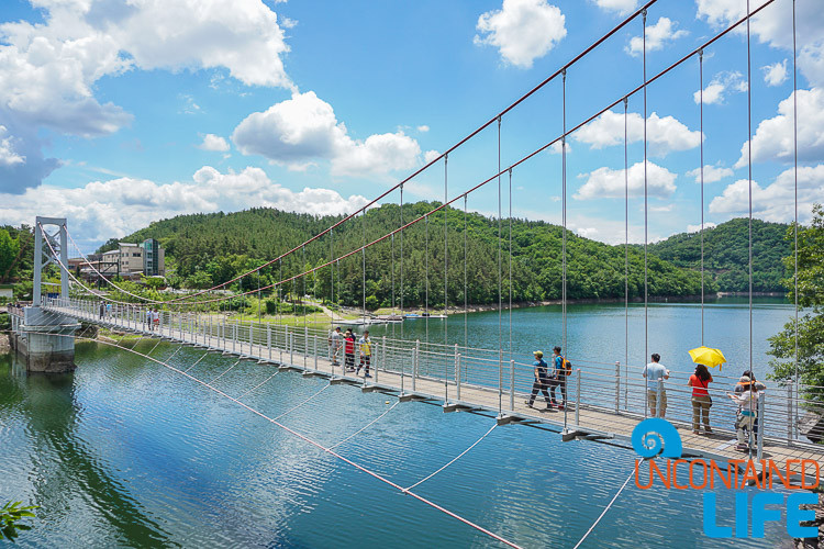 Sky Bridge, Off the Beaten Path in South Korea, Uncontained Life