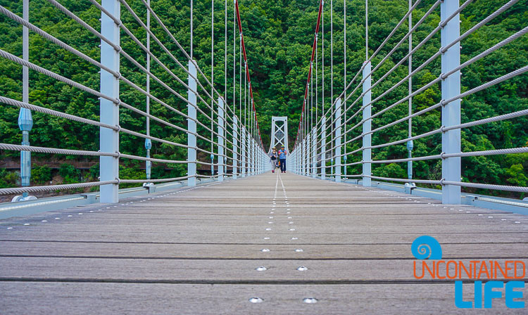 Sky Bridge, Off the Beaten Path in South Korea, Uncontained Life