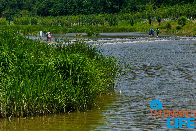 Off the Beaten Path in South Korea, Uncontained Life