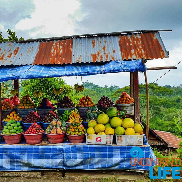 Bali Fresh Fruit Stand Indonesia