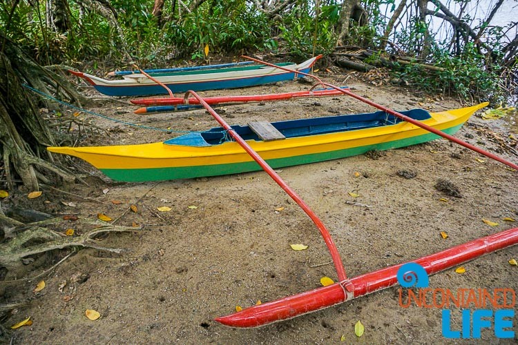 Outrigger Canoes, Mangrove Resort in Langogan, Palawan, Philippines, Uncontained Life