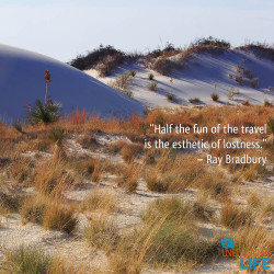 Ray Bradbury Quoto