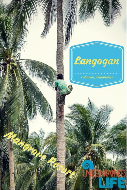 Mangrove Resort in Langogan, Palawan, Philippines, Uncontained Life