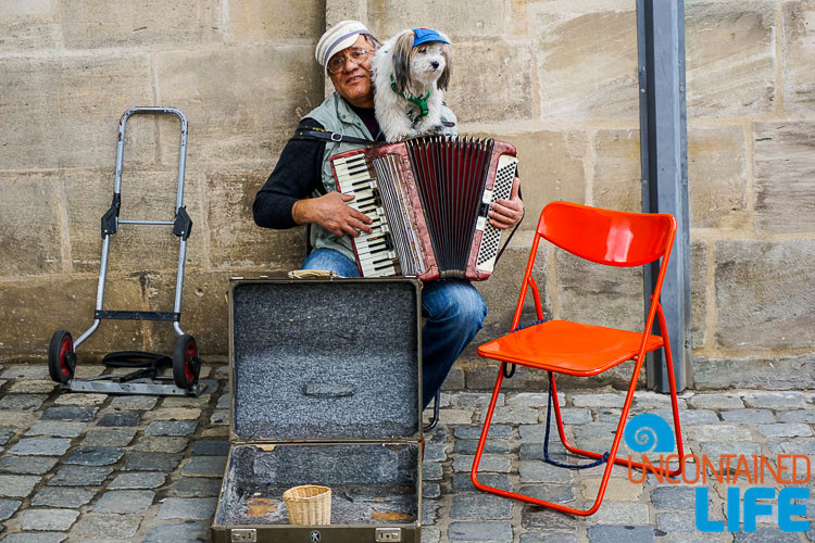 Street Musician, Dog, Accordion, Nuremberg, Germany, Uncontained Life