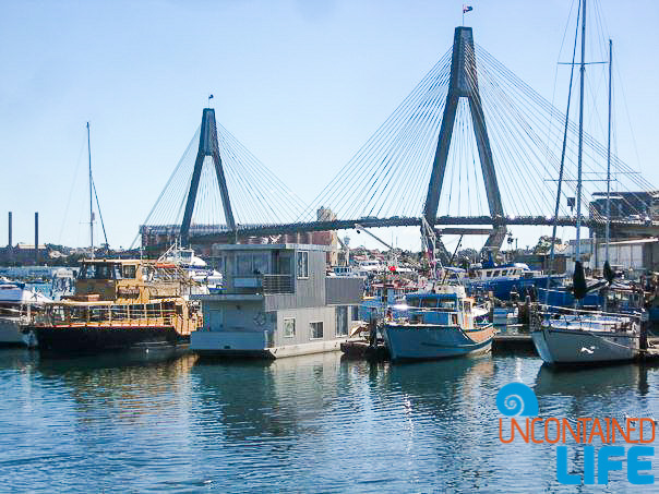 Anzac Bridge, Inexpensive Activities in Sydney, Australia, Uncontained Life