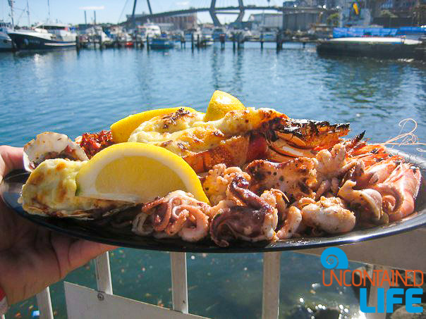 Sydney Fish Market, Inexpensive Activities in Sydney, Australia, Uncontained Life