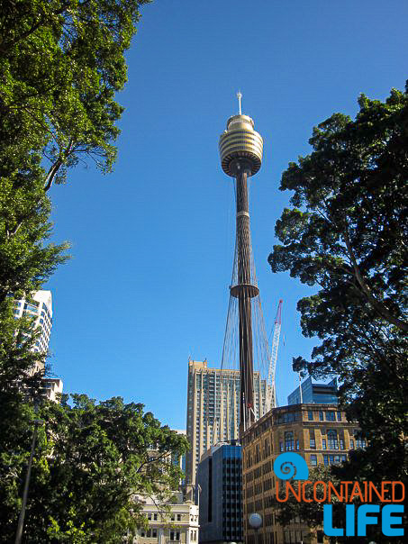 Sydney Tower, Inexpensive Activities in Sydney, Australia, Uncontained Life