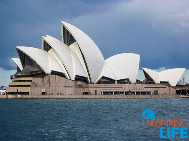 Sydney Opera House, Inexpensive Activities in Sydney, Australia, Uncontained Life