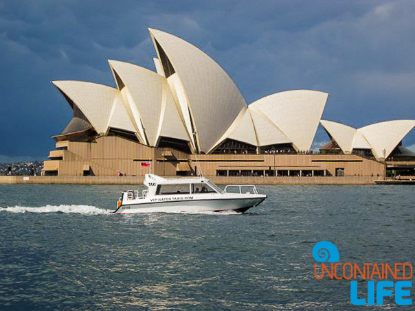 Sydney Opera House, Inexpensive Activities in Sydney, Australia, Uncontained Life