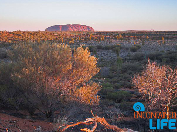 Uluru, Ayers Rock, Active Adventures, Australia, Uncontained Life