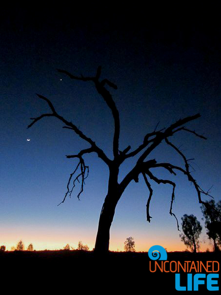 Sunset Silhouette, Uluru, Northern Territory, Active Adventures, Australia, Uncontained Life