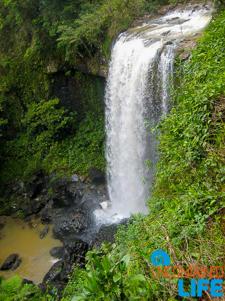 Waterfall Loop, Queensland Australia