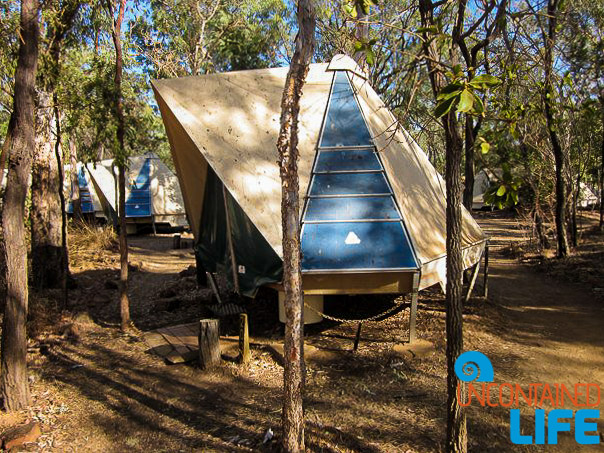 Plastic Tent, Queensland Australia