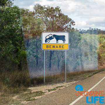 Signs, Queensland Australia