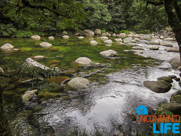 Mossman Gorge, Queensland Australia