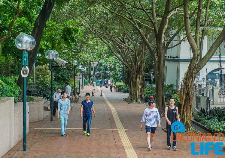 Public Park, things to avoid when visiting Hong Kong, Uncontained Life