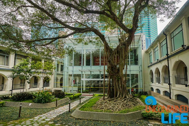 Heritage Discovery Center, Hong Kong, Uncontained Life