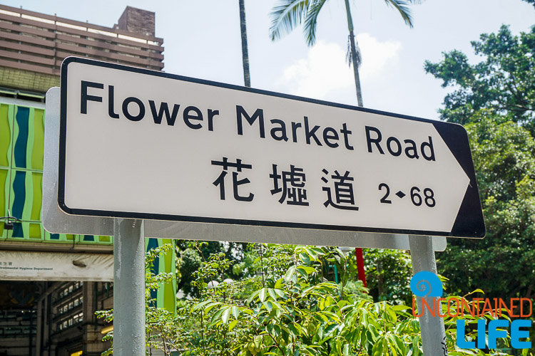 Flower Market Road, sign, Hong Kong, Uncontained Life