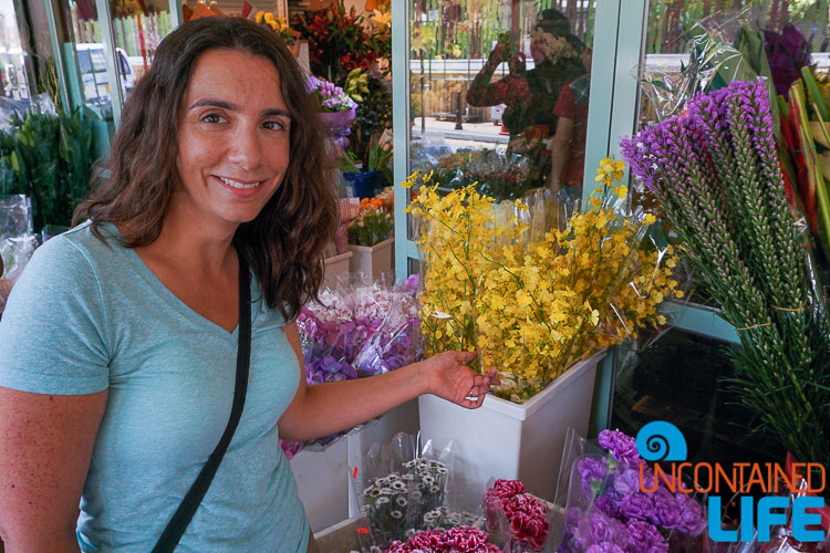 Flower Market, Hong Kong, Uncontained Life