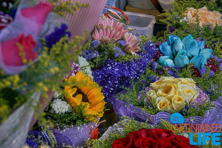 Flowers, Hong Kong, Uncontained Life