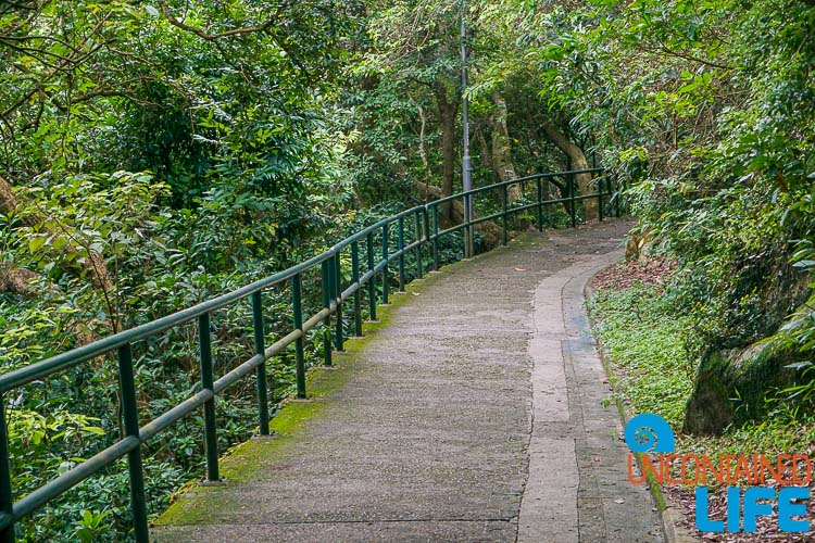 Path, Day trip to Cheung Chau, Hong Kong, Uncontained Life