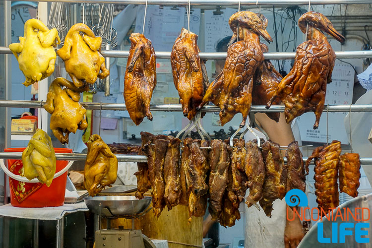 Poultry, Day trip to Cheung Chau, Hong Kong, Uncontained Life