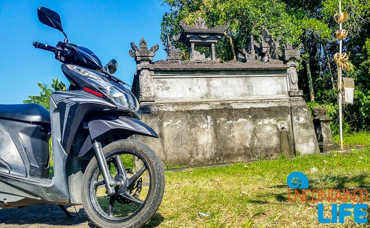 Renting a Scooter in Southeast Asia, Uncontained Life