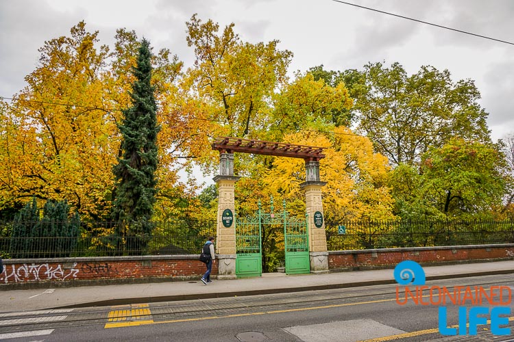 Botanical Gardens, exploring central Zagreb, Croatia, Uncontained Life