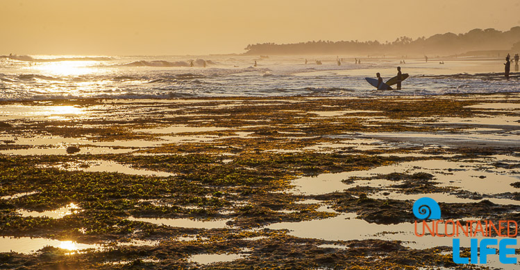 Echo Beach, Surfing, Sunset, Explore Canggu, Bali