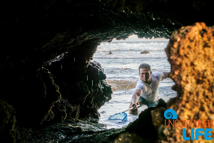 Crab Hunter, Tidepools, Echo Beach, Explore Canggu, Bali