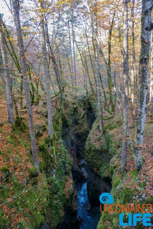 Forest Gorge, Hiking Mostnica Gorge, Slovenia, Uncontained Life