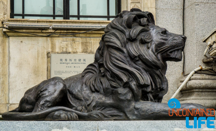 Lion Statue, 24 Hours in Shanghai, China, Uncontained Life